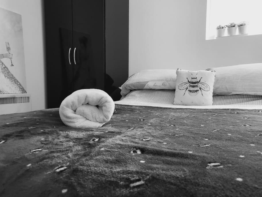 High Street, 2 Bed, Newly Refurb Daire Leamington Spa Dış mekan fotoğraf